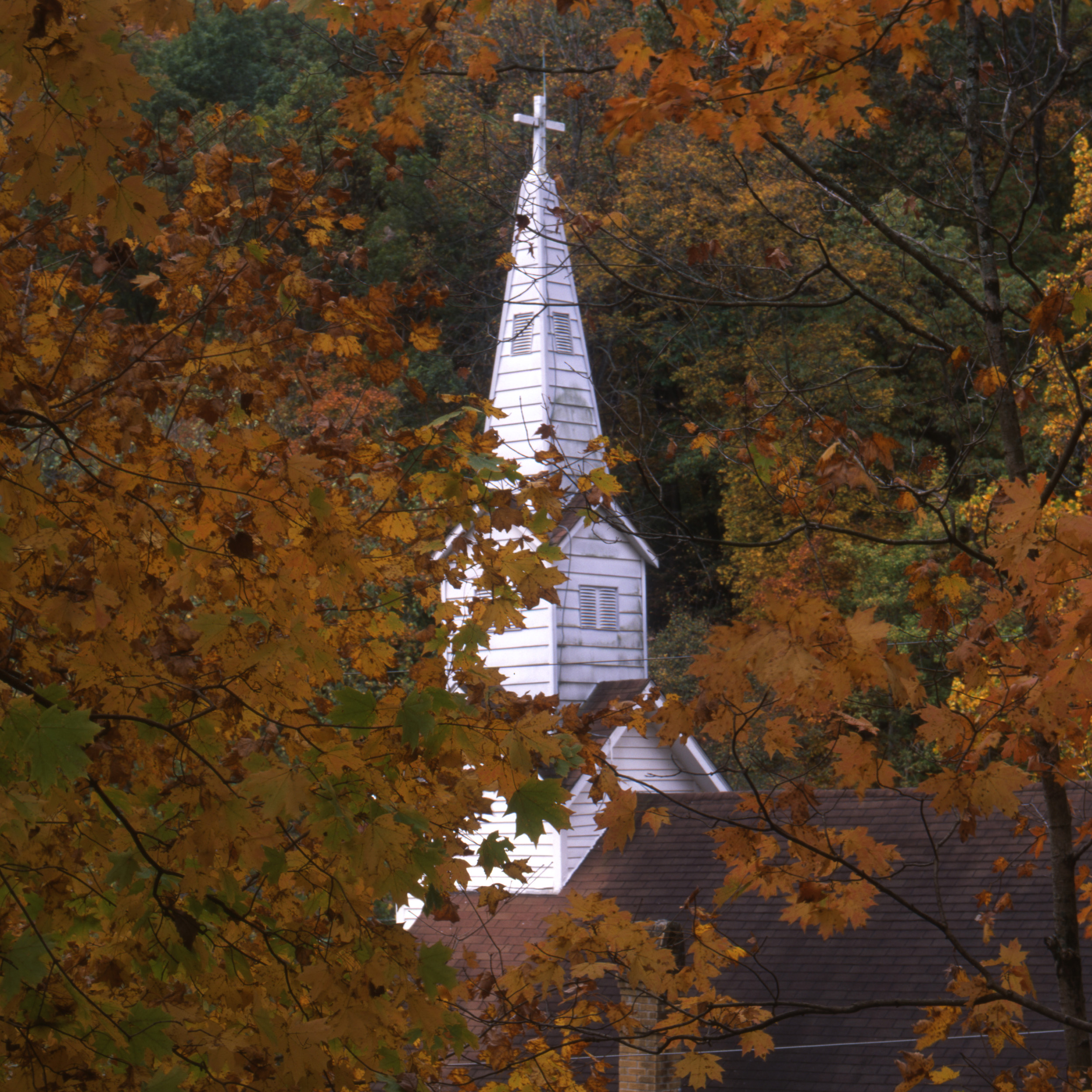 Vaughn_Image 6_Autumn Steeple_TLT